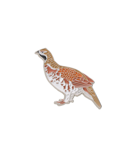 Ženkliukas Paprastoji jerubė